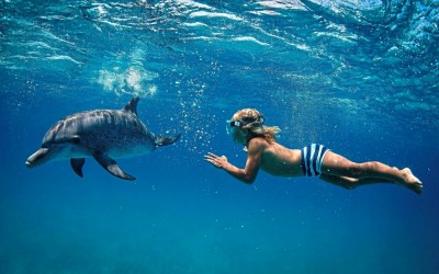 Swimming with Dolphins and visit the Capital “Port Louis”